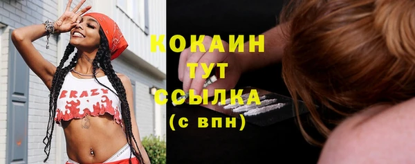 гидра Алзамай