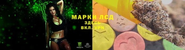 мяу мяу мука Абинск