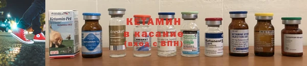 ПСИЛОЦИБИНОВЫЕ ГРИБЫ Абаза