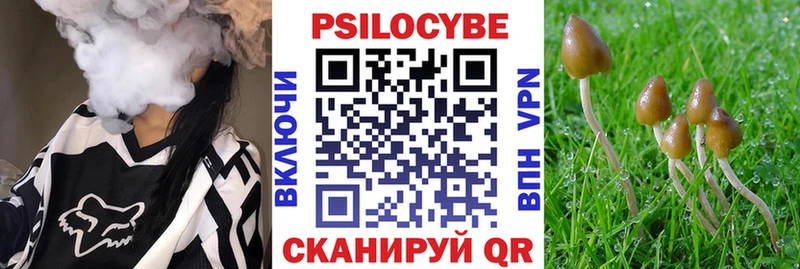 Галлюциногенные грибы Psilocybe  Мирный 