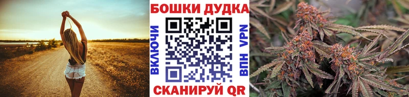 маркетплейс телеграм  Мирный  Марихуана ГИДРОПОН 